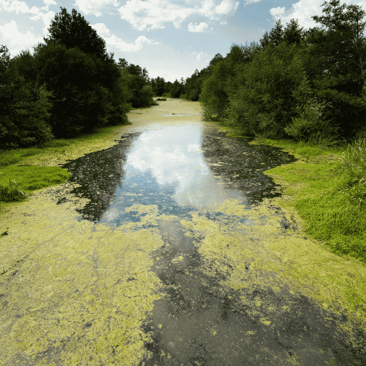 Galicia_water pollution