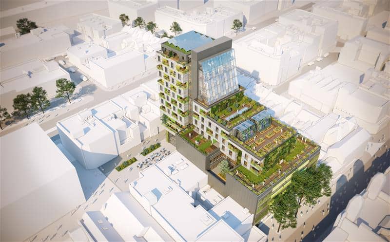 Image ©Hacer Developments Ltd/Biophilic Centre of Excellence